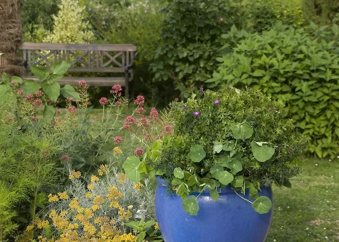 D'hotes Oeuil De Bouc Madiran