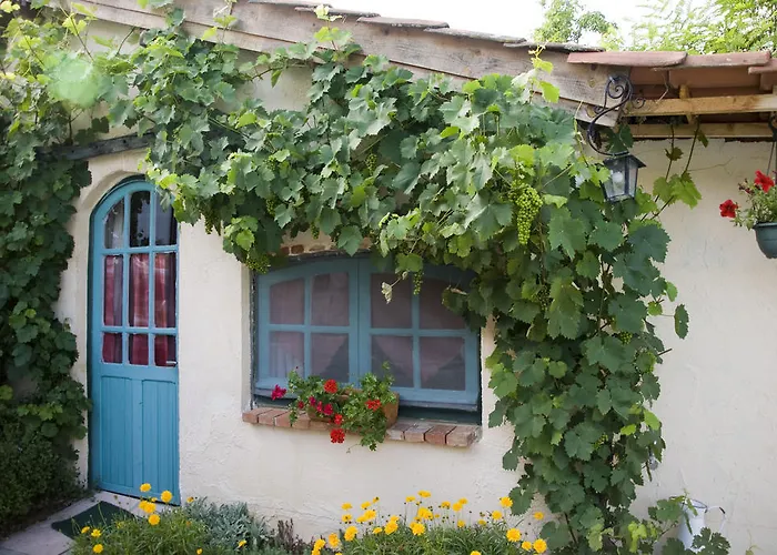 D'hotes Oeuil De Bouc