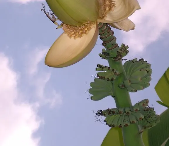 فندق مبيت وإفطار D'hotes Oeuil De Bouc