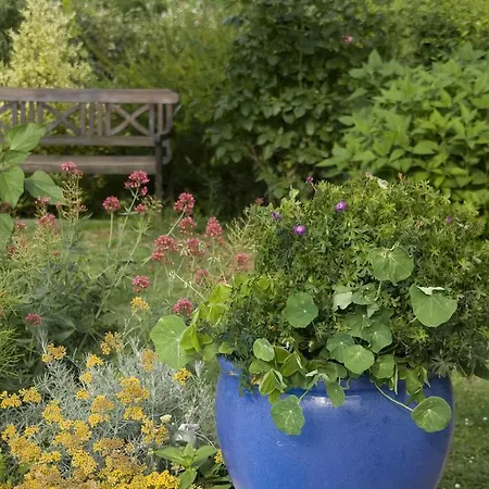 D'hotes Oeuil De Bouc Madiran