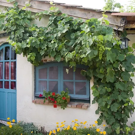 D'hotes Oeuil De Bouc