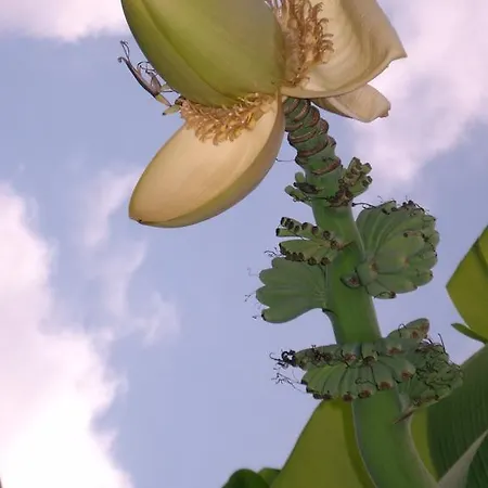 Bed & Breakfast D'hotes Oeuil De Bouc